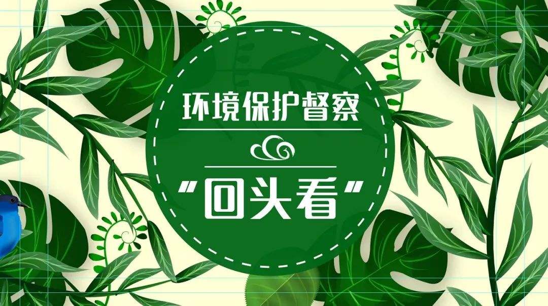 2019年第二轮环保督查：八项必查点！