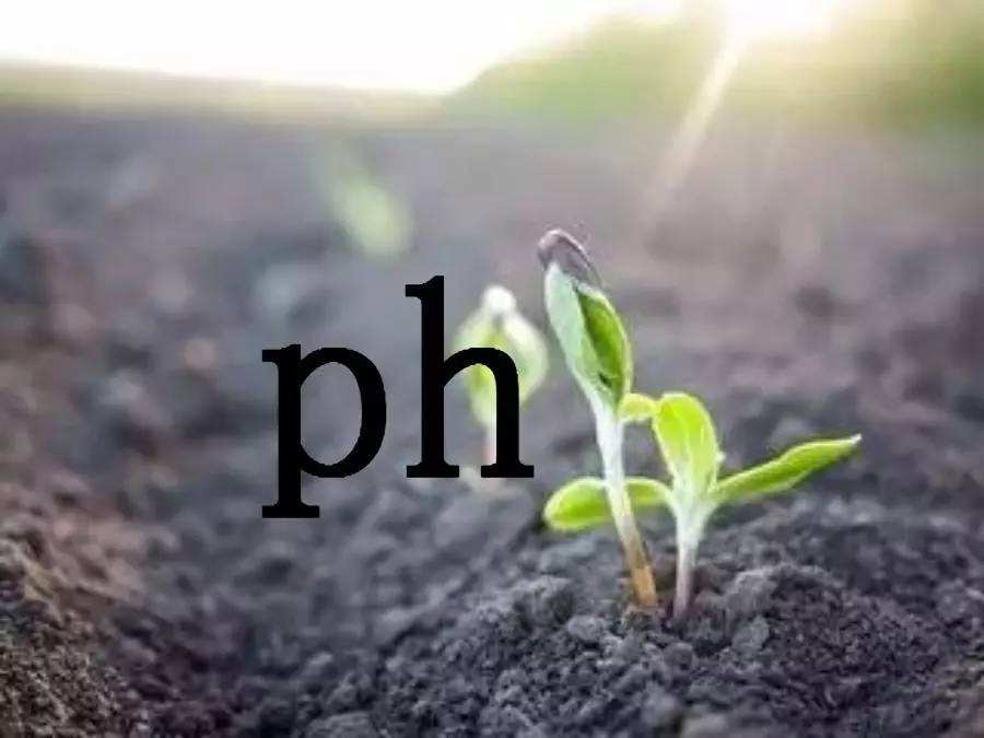 土壤 pH 值的测定 电位法